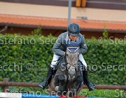 Andrisano Miss Orrenda GioCav2013 S5 4178 : Andrisano Antonello, Campionati Italiani Giovani Cavalli, Cattolica, Miss Orrenda, ph Stefano Secchi ©